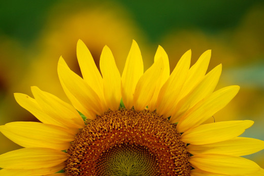 594778 (a): :2500x1660